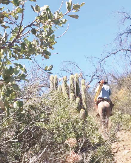 Geodesia y monumentación